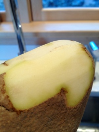 Notice the pale green at the edges of the peeled potato