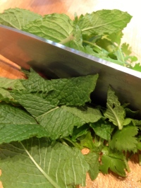 Chopping the mint and cilantro